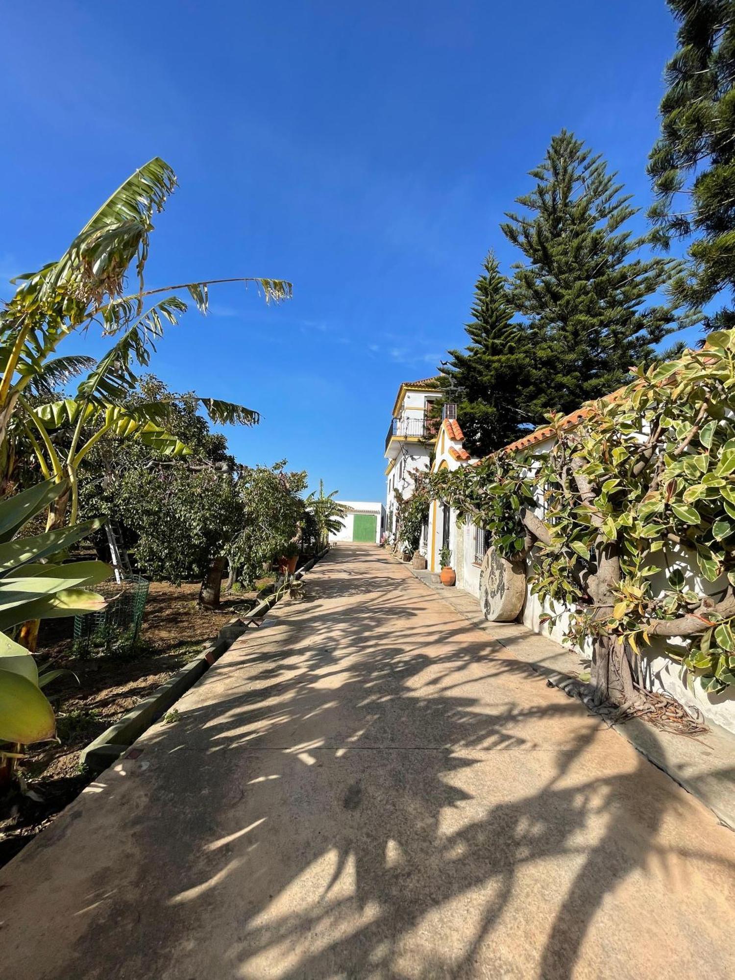 Finca La Tacita - Petunia Conil De La Frontera Dış mekan fotoğraf